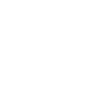 Houston Volts logo