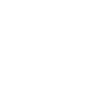 Toronto Polar Bears logo