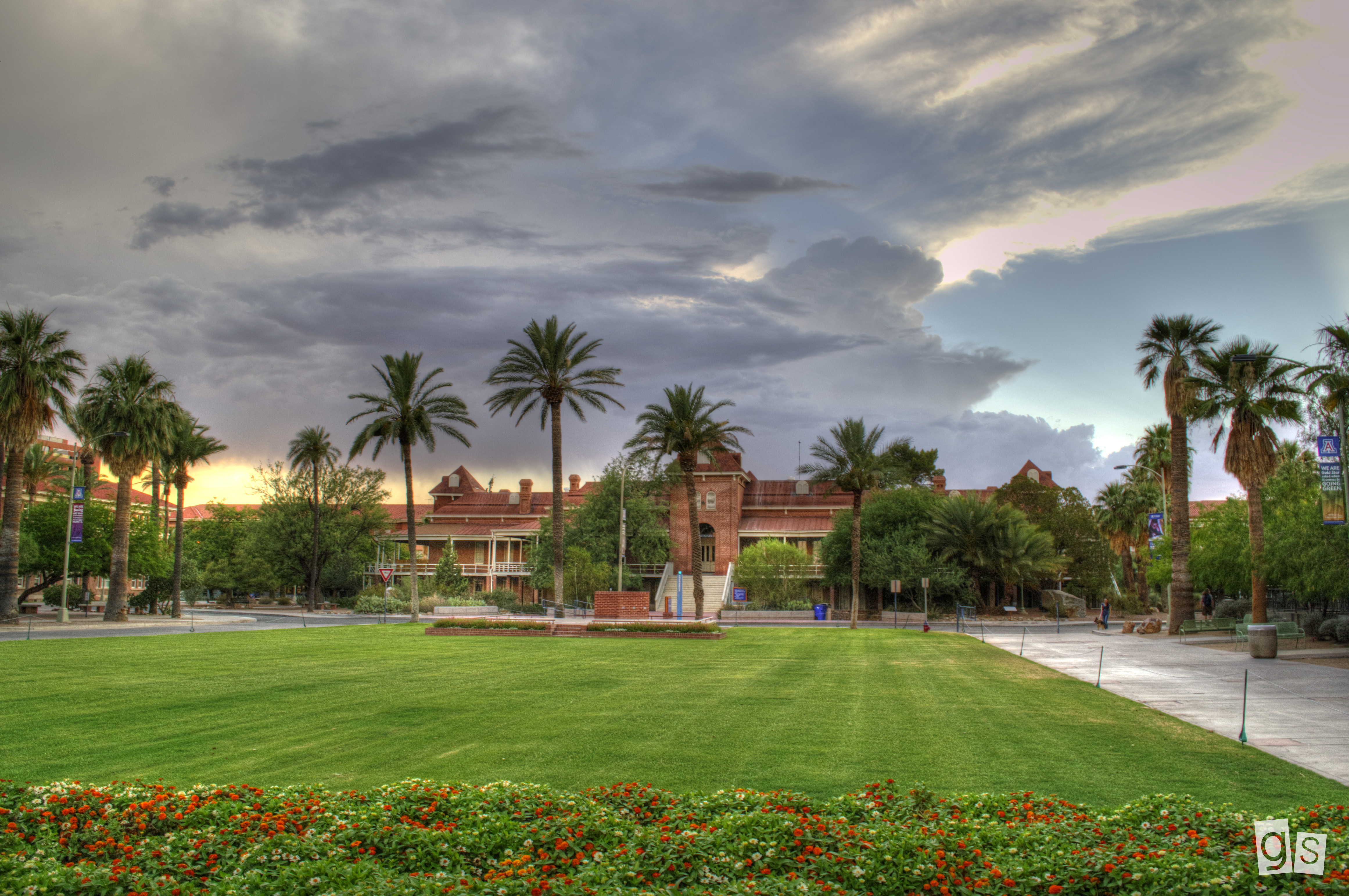 Padel courts at UA Padel Club in Tucson, AZ